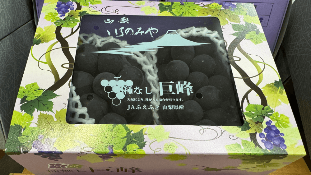 야마나시 현(山梨県) 씨 없는 거봉(種なし巨峰) 포도: 맛과 건강을 동시에