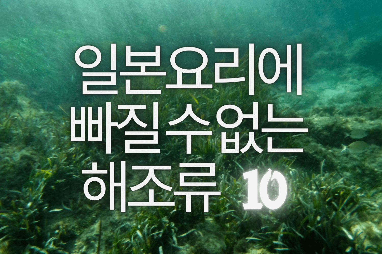 일본 요리에 빠질 수 없는 해조류 10가지