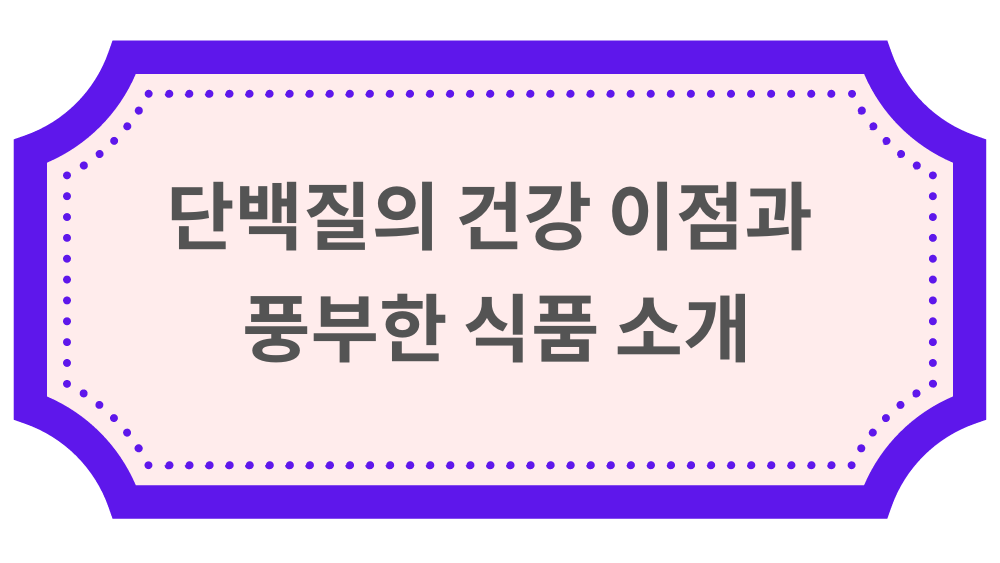 단백질의 건강 이점과 풍부한 식품 소개